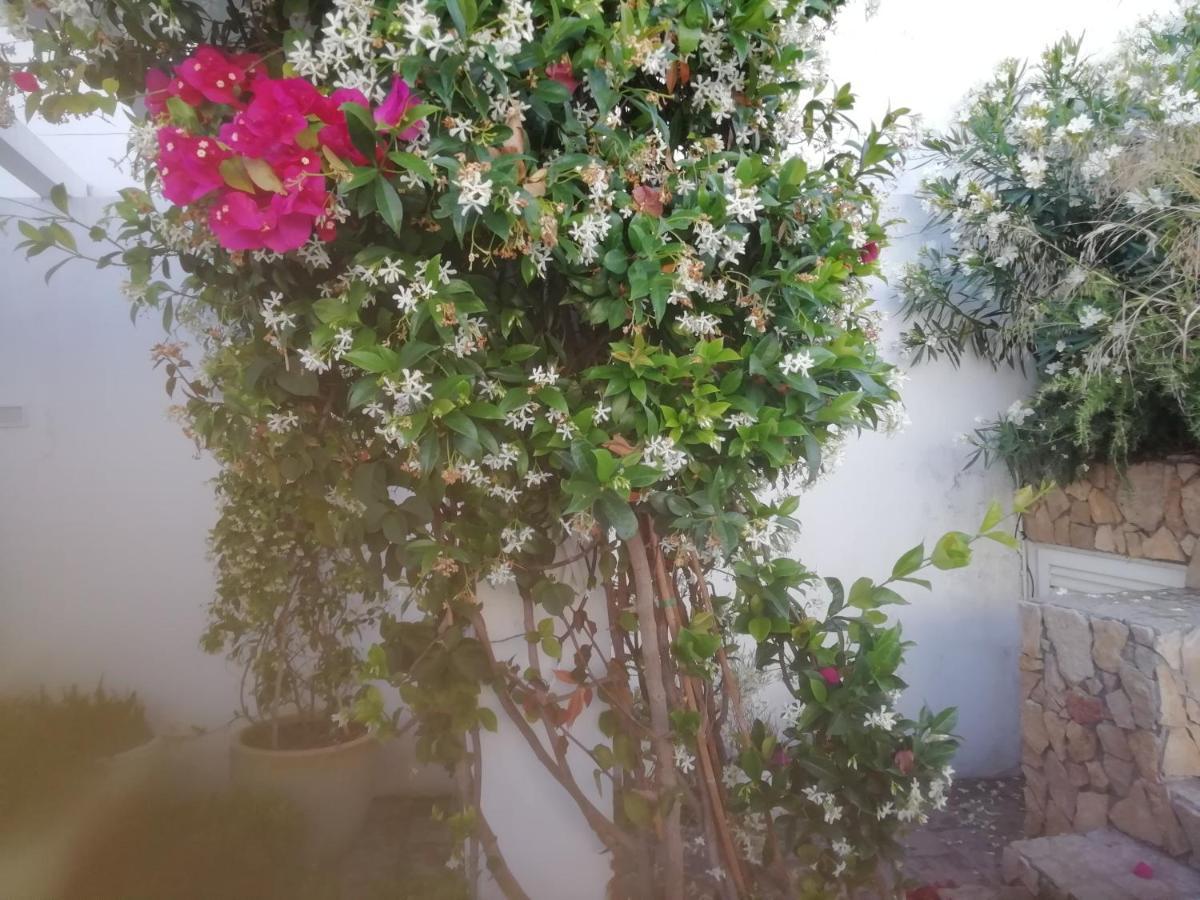 Casa Do Jardim Διαμέρισμα Μπέχα Εξωτερικό φωτογραφία